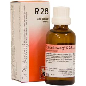 R28