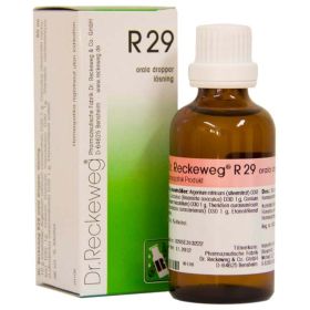 R29